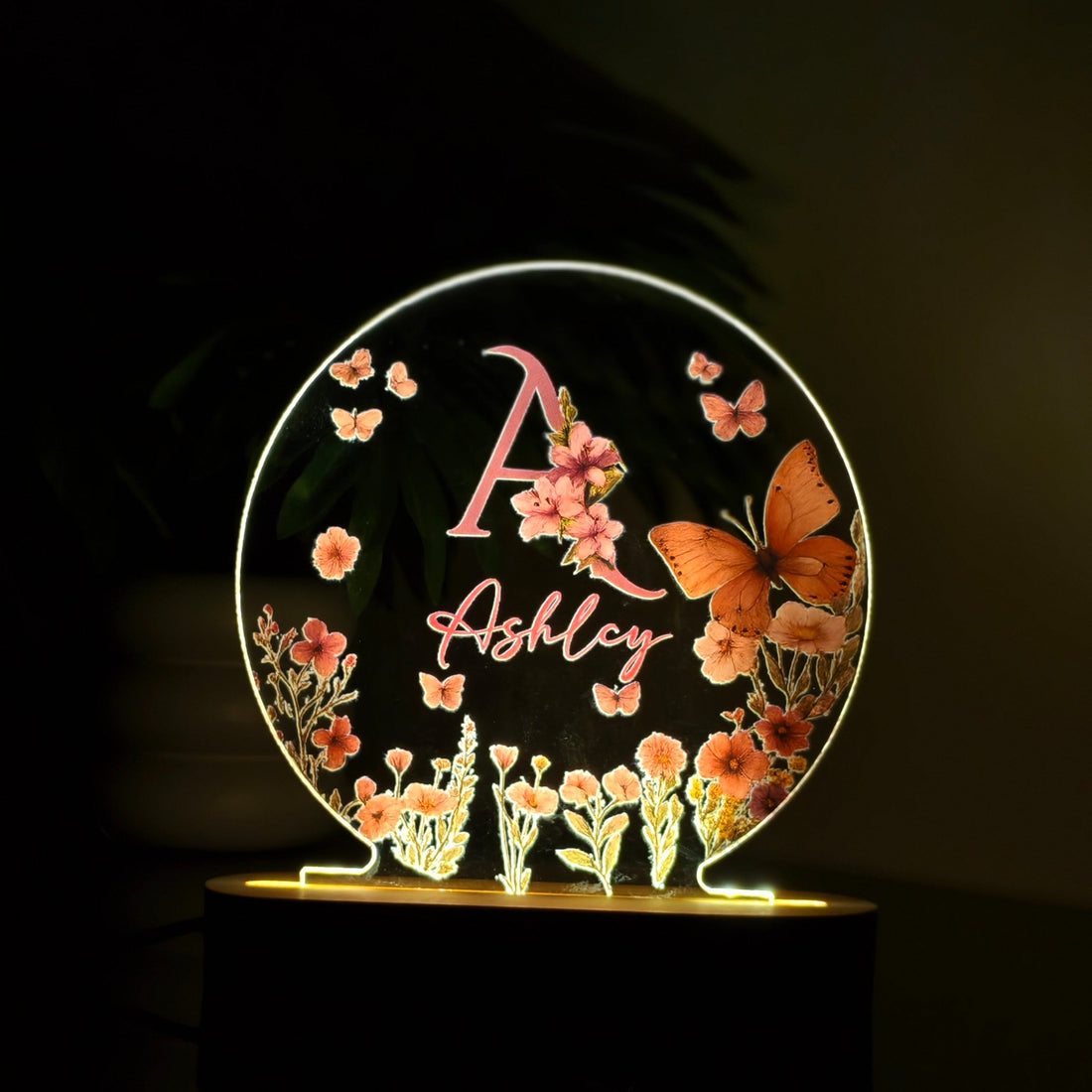 Customized Acrylic Art Frame with Wooden Base | Premium Home Décor Gift